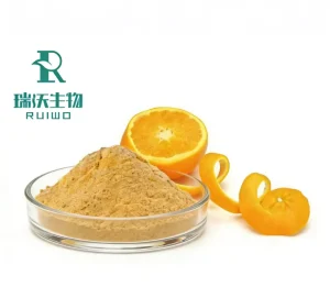 100% Natural Concentrate Orange Juice Fruit Powder Fruit Drink Flavor Orange Powder