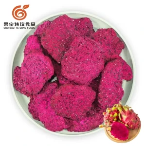 100% Natural Freeze Dried Dragon Fruit Red Pitaya No Added Sugar Vegan Fruit Snack