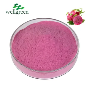 100% Natural Organic Nutritious Fruit Powder Organic Red Freeze Dried Pitaya FD Dragon Fruit Powder