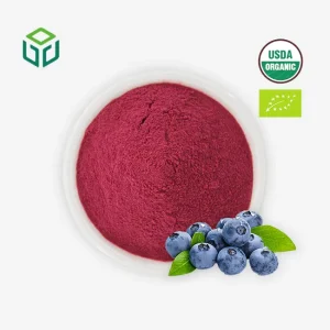100% Natural Organic Spray Dried Fruit Blueberry Juice Concentrate Powder Food Grade Blueberry Flavor Bottle