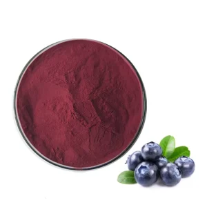 100% Pure Blueberry Fruit Powder Blueberry Concentrate Fruit Juice Powder
