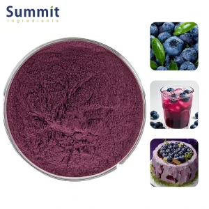 100% Pure Food Grade Blueberry Fruit Powder Solvent Extracted Water Soluble for Food & Beverage Use