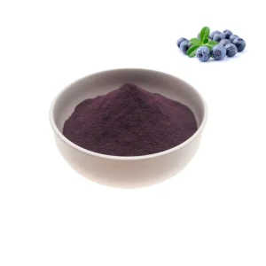 100% Pure Water Freeze Dried Fruit Pure Concentrate Blueberry Extract Fruit Juice Powder
