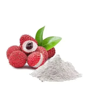 100% Pure Wild Dried Lychee Herbal Extract Concentrate Juice Powder Litchi Fruit Powder Food Grade Solvent Extracted