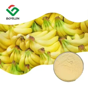 100% Water Soluble Banana Flavour Juice Powder Spray Dried Banana Powder