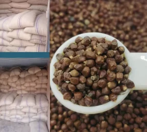 100g High Grade Dried African Aframomum Melegueta Fruits Guinea Pepper Raw Natural Sun-Dried Grains of Paradise