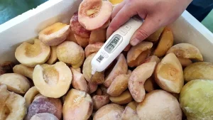 10kW Radio Frequency Thawing Equipment for Thawing Fruits Reducing Drip Loss of Frozen Fruits