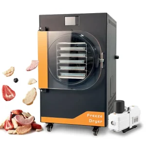 110V Home Use 6kg Vacuum Freezer Dried Fruit Freeze Dryer Machine for Strawberry Mango in the USA