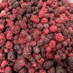 1kg Freeze Dried Fruit Mixed Fruit Freeze Dried Mix Crunchy Crispy Dried Fruits Chips Blackberry