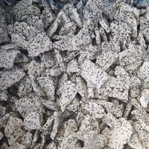 1kg White Dragon Freeze Dried Fruit Freeze Dried White Dragon Fruit