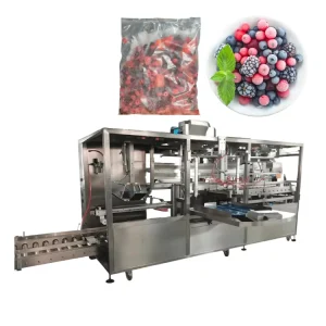 3 Station Horizontal Automatic Large Pouch Filling & Sealing Machine 2KG for Frozen Fruit and Mixed Berries Packaging