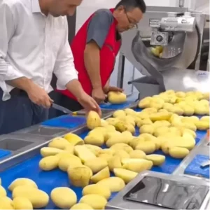 304 Stainless Steel Fully Automatic French Fries Production Line Hygienic Frozen Potato Fries Processing Line