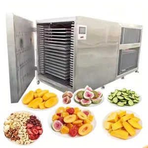 50KG 100KG Small Multifunctional Fruit Celery Freeze Dryer