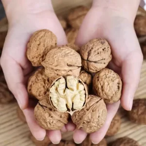 AD Dried Walnut Kernels New Crop Raw Shelled From Anhui China Manufacturer for Export 1kg