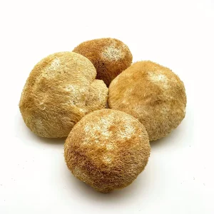 Air Dried Lion’s Mane & Monkey Head Mushroom Fruit Body Polysaccharides & Beta D Glucan Size 4 7cm for Health Care