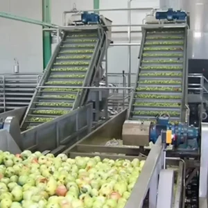 Automatic Mango Orange Juice Line Mixing Tank Sterilizer Filling Machines 5000BPH Capacity for Fruit Processing Brand