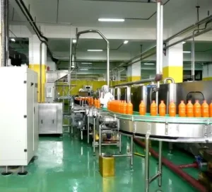Automatic Pineapple Juice Machine Pineapple Juice Extractor Machine Fruit Juice Processing Apple and Pear Production Plant
