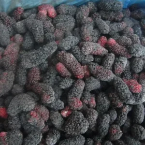 BRC Certified Factory High Quality Frozen Healthy Fruits Frozen Mulberries