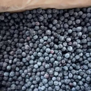 BRC HACCP Certified Frozen Blueberry Bulk IQF Frozen Blueberry