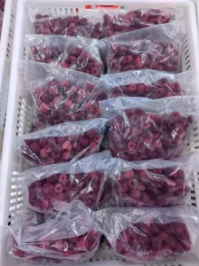 BRC a HACCP IQF Frozen Raspberry 90 10 Frozen Fruit