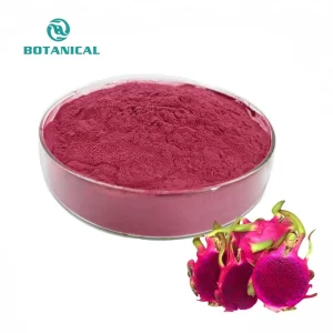 Best Quality Food Grade 100% Natural Fresh Red Dragon Fruit Powder Instant Powder Pitaya Fruit Powder Extract