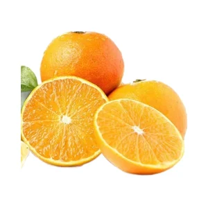 Best selling Australian Fresh Citrus Fruit Exporter Natural Sweet Delicious Fresh Navel Orange