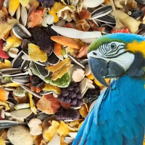 Bird Food 1Kg 2Kg 10Kg Mixed Seeds Fruits for Large Parrots Pellets Dry Small Dried Bags B2B