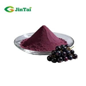 Black Currant Fruit Flavor Juice Concentrate Powder