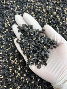 Black Goji Berry Natural High Anthocyanin Healthy Dried Fruit for Herbal Tea Water Soaking Beverage Factory Supply