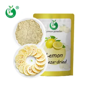 Bulk 100% Natural Freeze Dried Lemon Fruit Slice