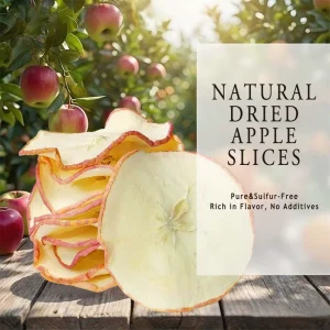 Bulk Dried Apple Slices AD Dehydrated Sweet Fruit Snack 12 Months Shelf Life MOQ 1000kg