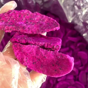 Bulk Freeze Dried Dragon Fruit Slices Skin Crunchy Low Calorie Vegan Snack for Long Term Storage & Outdoor Travel
