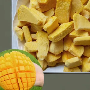 Bulk Freeze Dried Mango Sweet Tasting Freeze Dried Fruit Preserved with Water Freeze Dried Bulk Fruit