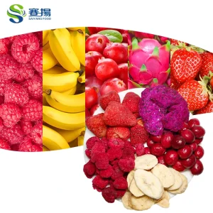 Bulk Freeze Dried Mixed Fruit Raspberries Cranberries Bananas Dragon Freeze Dried Fruit Snacks 100g Packing