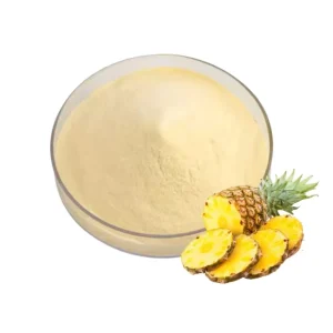 Bulk High Quality Natural Pineapple Powder Spray Dried Pure Pineapple Powder