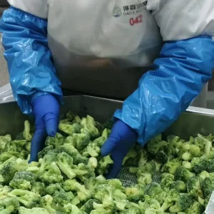 Bulk IQF Broccoli Florets Size Pack Customizable for Frozen Mix Ready Meals BRC ISO22000 Certificated