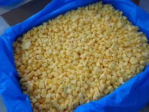Bulk IQF Frozen Mango Chunks Fresh Ripe Frozen Mango Cubes for Beverage Dessert Bakery and Food Processing