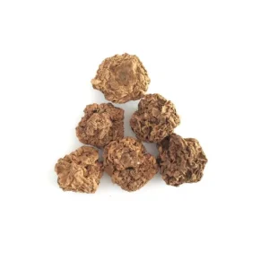Bulk Japanese Catnip Cat Toy Dried Fruits Organic Actinidia Polygama Matatabi Silvervine Fruit