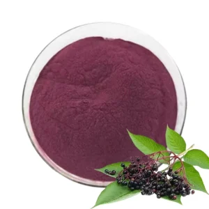 Bulk Spray Dried High Quality Natural Elderberry Juice Powder Pure Elderberry Powder