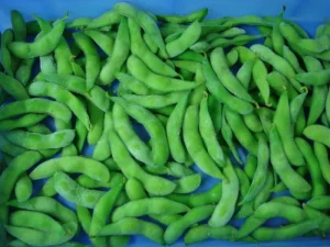 Bulk Supply Grade A Frozen Edamame Pods Unsalted Natural Green Soybeans for Supermarket Retail