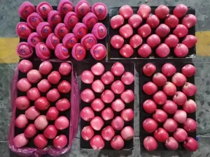 China Bulk Fresh Apples High Quality Fresh Fruit Red Delicious Apples Newly Fresh Apples Fuji Apples Apple Apple