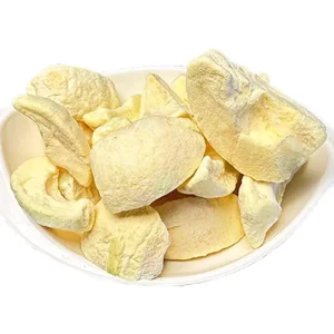 China Dried Fruit Freeze Dried Apple Snacks Freeze Drying Vegetables and Fruits Bulk Freeze Dried Apple
