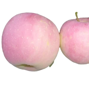 China Factory Fresh Fuji apple Lowest Price Good Taste apple Fruits Fresh apple