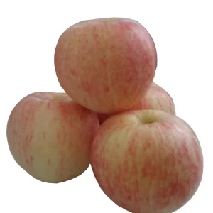 China Fresh Royal Gala apple