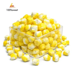 Chinese Gummy Candy Manufacturers New Fruity Candy Sweet Freeze Dried Lemon Candy