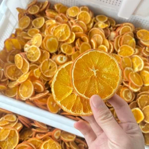 Chinese Origin High Quality Complete Round Dry Fruits Factory Supply Low Dried Orange Slices for Tea Drinking