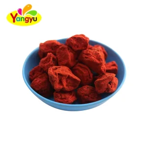 Chinese Preserved Dry Fruit Big Dried Red Plum for Asia Mid east Market