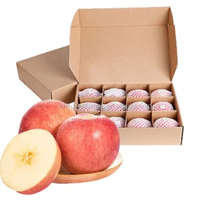 Chinese Red Fresh Fuji Apple Red Apple