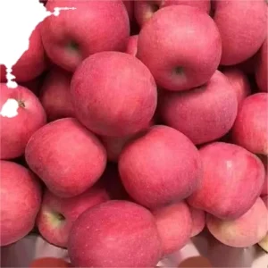 Chinese Red Huaniu Apple Fruits Sweet Red Fuji Apples Fresh Red Apple Fruit