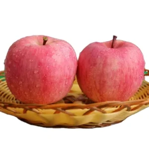 Chinese Sweet Fresh Royal Gala apple Fresh Fuji and Red Star Apples and Other Fresh Fruits at Price in Bulk for Export
